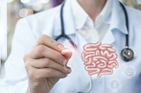 Mitos y realidades sobre los probióticos
