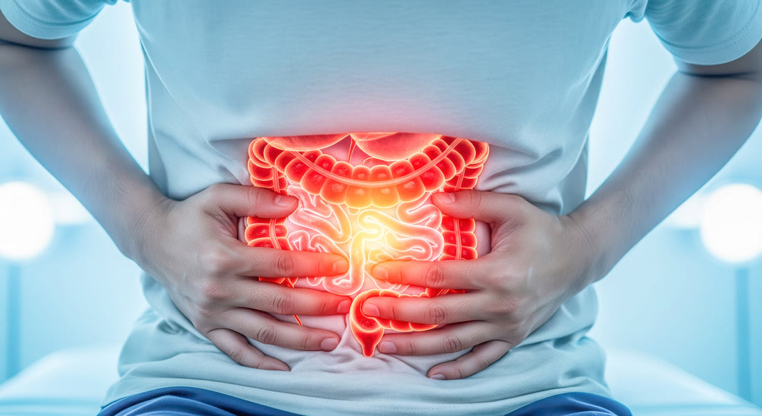 Cómo tomar probióticos y antibióticos para cuidar tu intestino